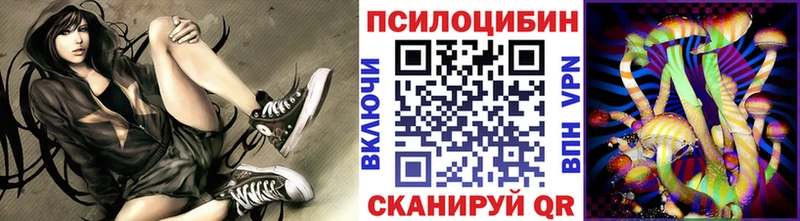 Псилоцибиновые грибы Cubensis Сергач